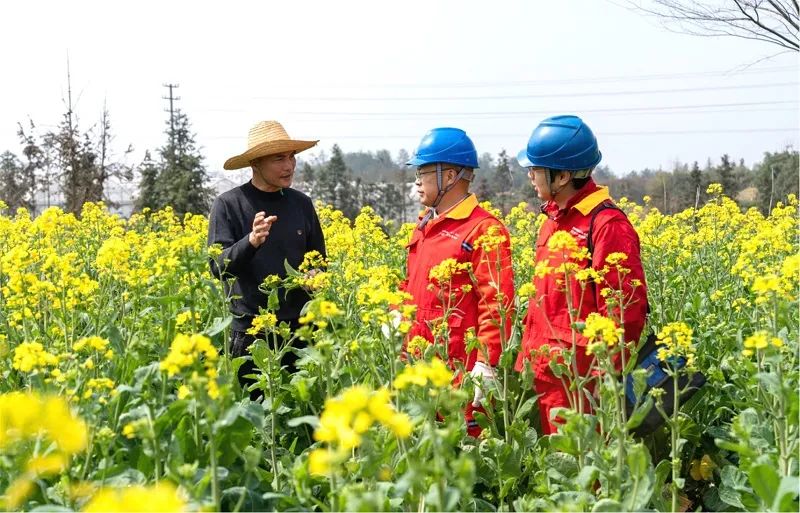 新一届党组学习习近平总书记重要论述精神 以党的政治建设为统领 全面加强领导班子建设 当好干事创业的“五个表率”