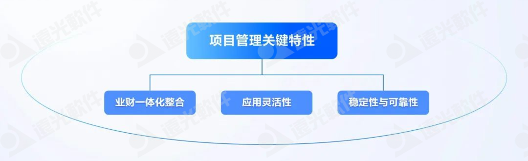 DAP专题 | 项目管理：集团企业的高效运营引擎